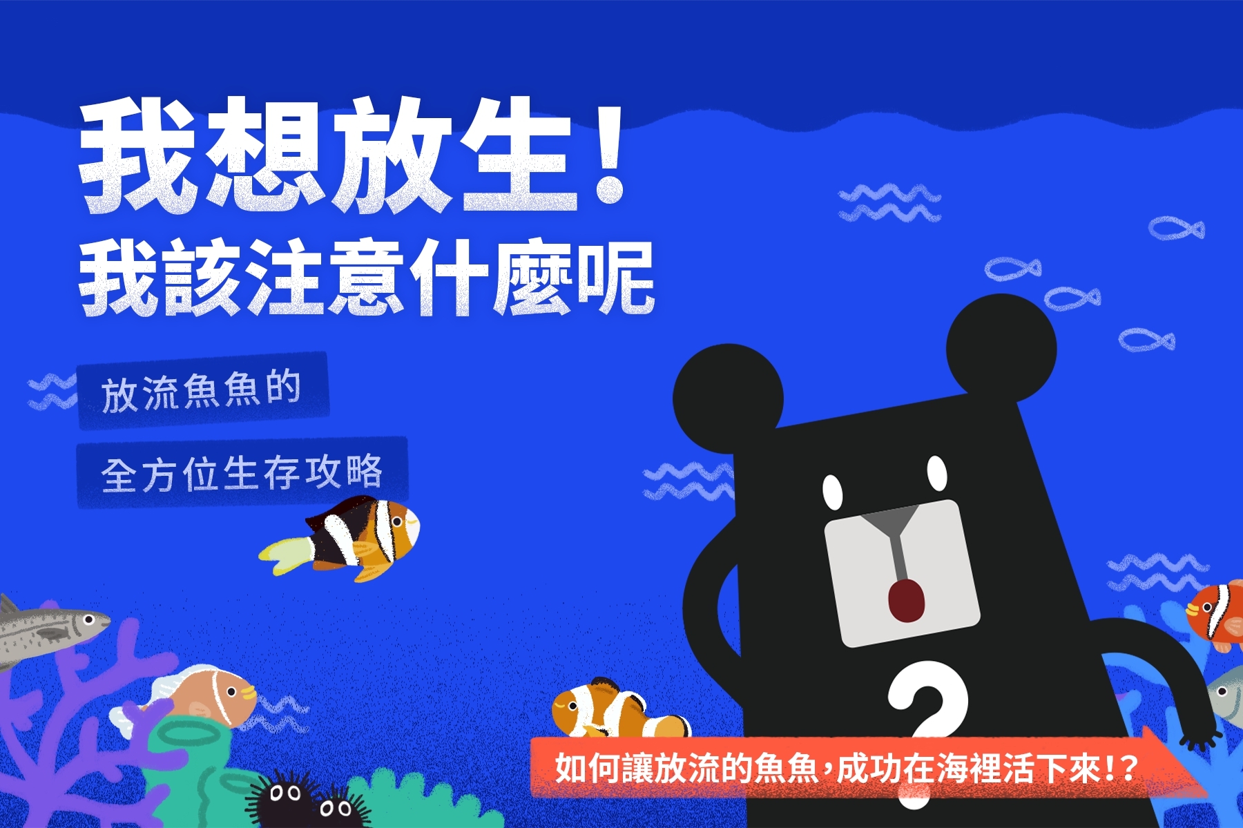 正確放流宣導影片